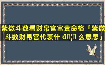 紫微斗数看财帛宫富贵命格「紫微斗数财帛宫代表什 🦈 么意思」